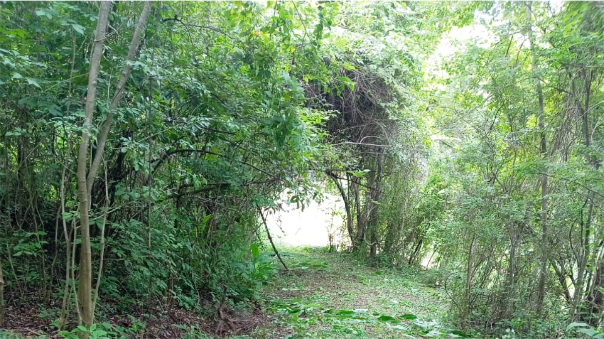 3 hectares For Sale La Barca Lagunillas Tarcoles