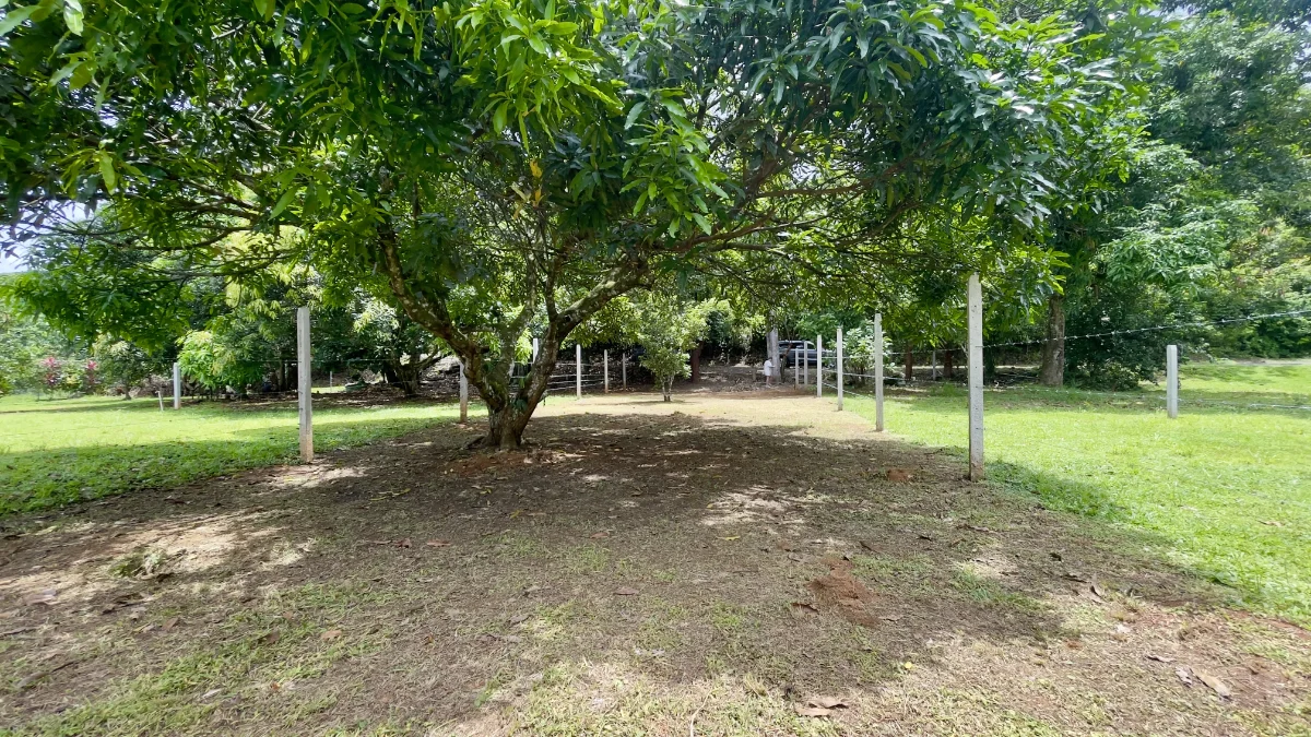300m2 Lot Quebrada Ganado