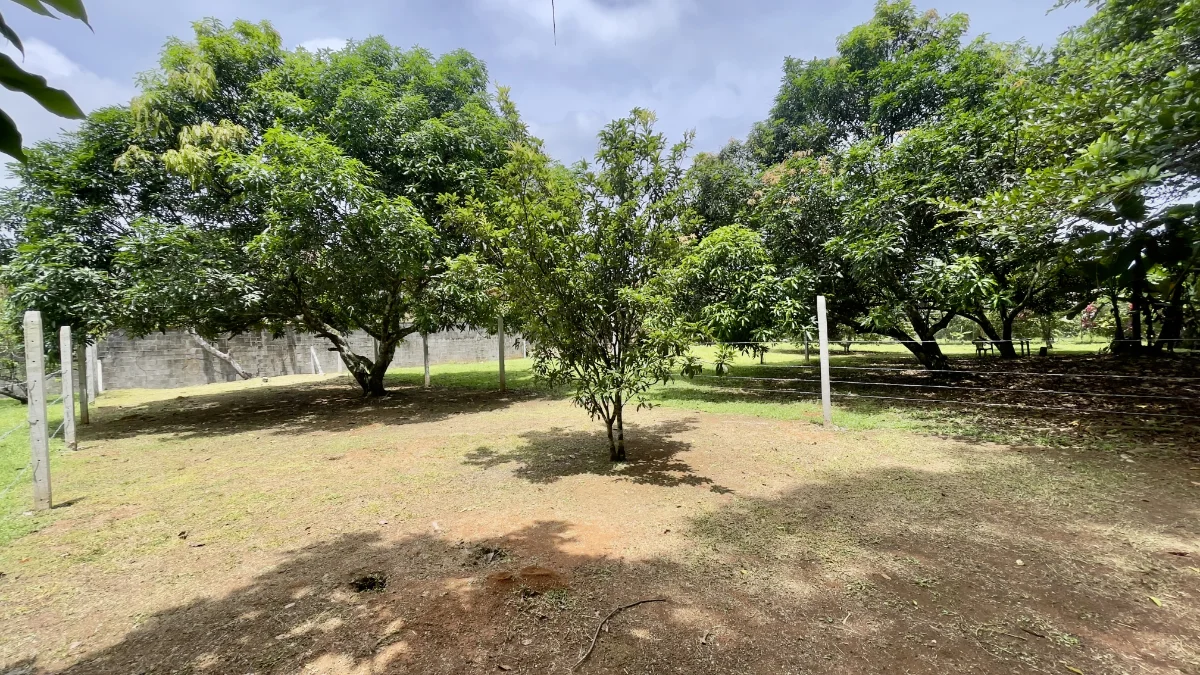 300m2 Lot Quebrada Ganado