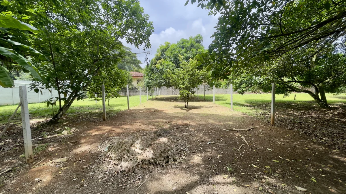 300m2 Lot Quebrada Ganado