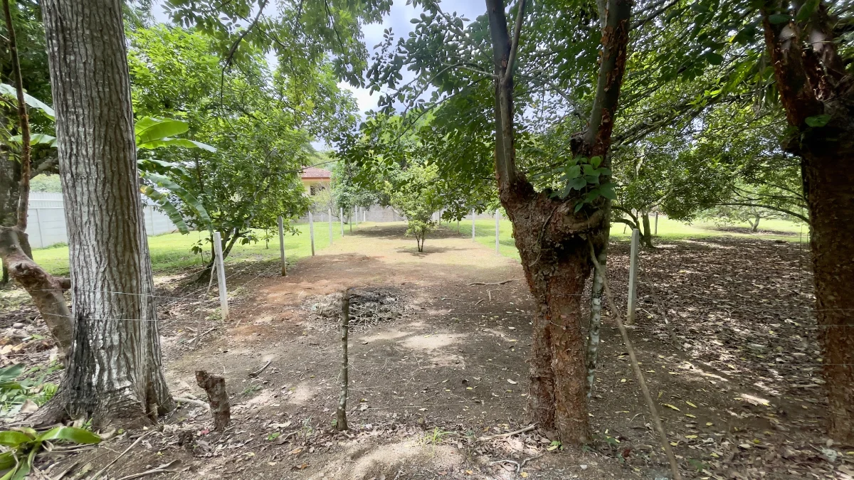 300m2 Lot Quebrada Ganado