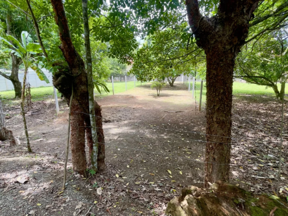 300m2 Lot Quebrada Ganado