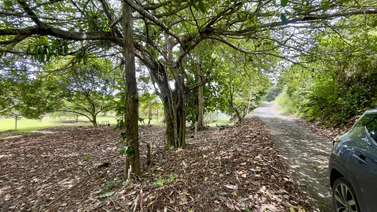 300m2 Lot Quebrada Ganado
